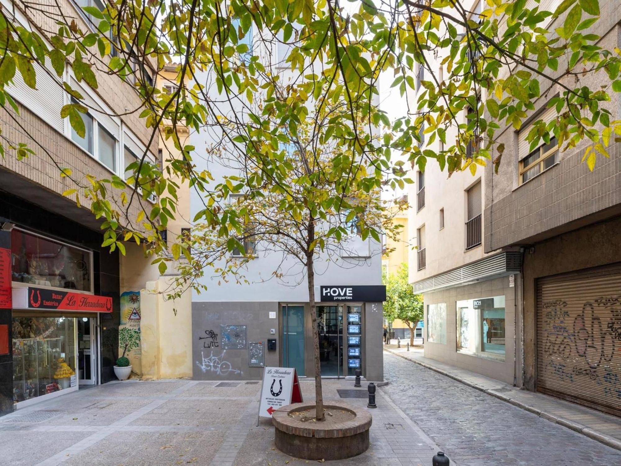 San Anton Boutique Terrace Villa Granada Eksteriør billede